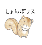 ダジャレ！白うさぎ（日常会話）（個別スタンプ：35）