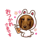 コロちゃん～日常編～（個別スタンプ：8）