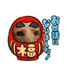 コロちゃん～日常編～（個別スタンプ：9）