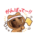 コロちゃん～日常編～（個別スタンプ：14）