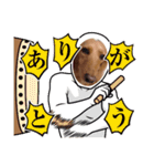 コロちゃん～日常編～（個別スタンプ：17）