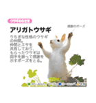 架空動物図鑑 vol.1（個別スタンプ：4）