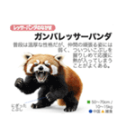 架空動物図鑑 vol.1（個別スタンプ：6）