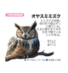 架空動物図鑑 vol.1（個別スタンプ：7）