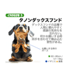 架空動物図鑑 vol.1（個別スタンプ：12）