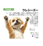 架空動物図鑑 vol.1（個別スタンプ：25）