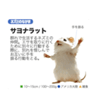 架空動物図鑑 vol.1（個別スタンプ：27）