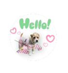 MOMOちゃん日常会話1（個別スタンプ：3）