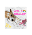 MOMOちゃん日常会話1（個別スタンプ：10）