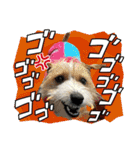 MOMOちゃん日常会話1（個別スタンプ：18）