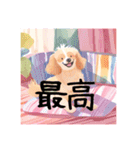 毎日使える可愛い犬達2（個別スタンプ：2）