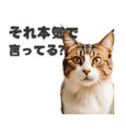 本音で生きる猫スタンプ（個別スタンプ：3）