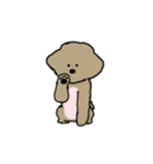 toy poodle nico simple（個別スタンプ：2）