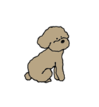 toy poodle nico simple（個別スタンプ：7）