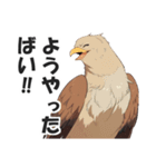 博多弁で野球の応援をする鷹【福岡・九州】（個別スタンプ：12）