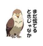 博多弁で野球の応援をする鷹【福岡・九州】（個別スタンプ：26）