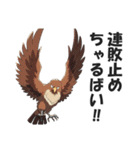 博多弁で野球の応援をする鷹【福岡・九州】（個別スタンプ：36）