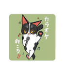 猫絵師まなこの気まぐれ猫スタンプ①（個別スタンプ：1）