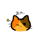 3種類の猫ちゃんスタンプ（個別スタンプ：13）