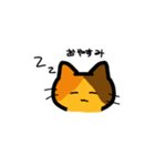 3種類の猫ちゃんスタンプ（個別スタンプ：16）