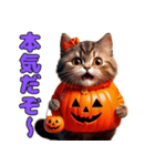 猫と犬のハロウィンパーティー（個別スタンプ：2）