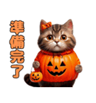 猫と犬のハロウィンパーティー（個別スタンプ：3）