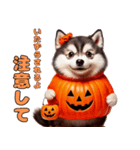 猫と犬のハロウィンパーティー（個別スタンプ：4）