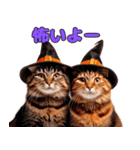 猫と犬のハロウィンパーティー（個別スタンプ：5）