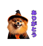 猫と犬のハロウィンパーティー（個別スタンプ：9）