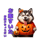 猫と犬のハロウィンパーティー（個別スタンプ：10）