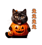 猫と犬のハロウィンパーティー（個別スタンプ：13）