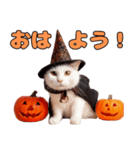 猫と犬のハロウィンパーティー（個別スタンプ：14）