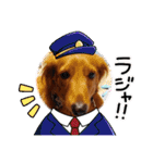 神かわいいこむぎさん（個別スタンプ：9）