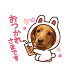 神かわいいこむぎさん（個別スタンプ：26）