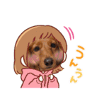 神かわいいこむぎさん（個別スタンプ：27）