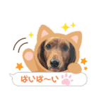 神かわいいこむぎさん（個別スタンプ：28）