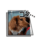 神かわいいこむぎさん（個別スタンプ：33）