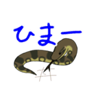 ゆるーいヘビちゃん③・改（個別スタンプ：14）