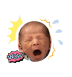 斗碧toa（個別スタンプ：12）