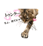 トマくんいろいろ（個別スタンプ：6）