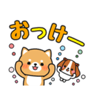 すぐに返信♪即レス便利 #柴犬クッキー2（個別スタンプ：7）