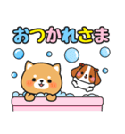 すぐに返信♪即レス便利 #柴犬クッキー2（個別スタンプ：9）