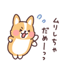 まるまるコーギー おおらかにいこう（個別スタンプ：37）