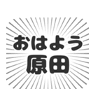 原田生活（個別スタンプ：34）