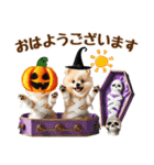 ポメラニアンのハロウィンづくしスタンプ（個別スタンプ：18）