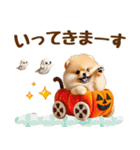 ポメラニアンのハロウィンづくしスタンプ（個別スタンプ：25）