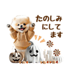 ポメラニアンのハロウィンづくしスタンプ（個別スタンプ：28）