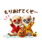 ポメラニアンのハロウィンづくしスタンプ（個別スタンプ：38）