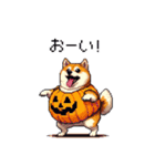 ハロウィン太っちょ柴犬（個別スタンプ：30）