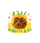 日常会話 CAT1（個別スタンプ：7）